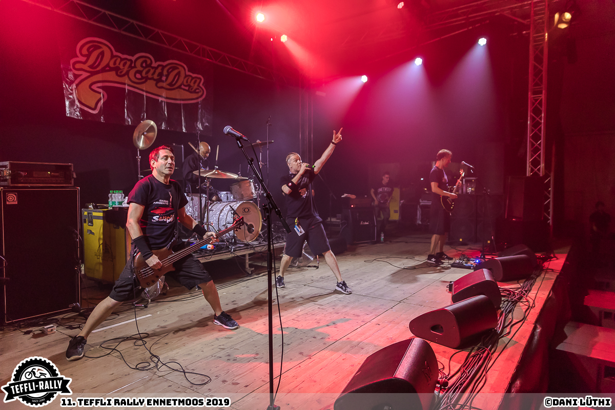 Teffli-Rally-19-Dog-Eat-Dog 07