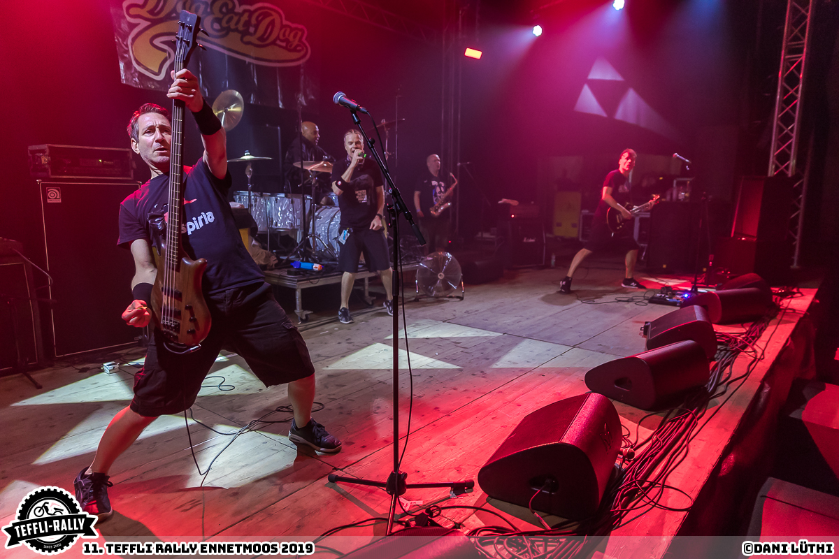 Teffli-Rally-19-Dog-Eat-Dog 08