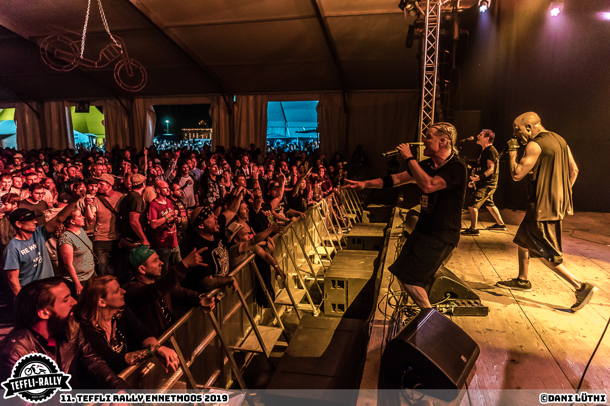 Teffli-Rally-19-Dog-Eat-Dog 50