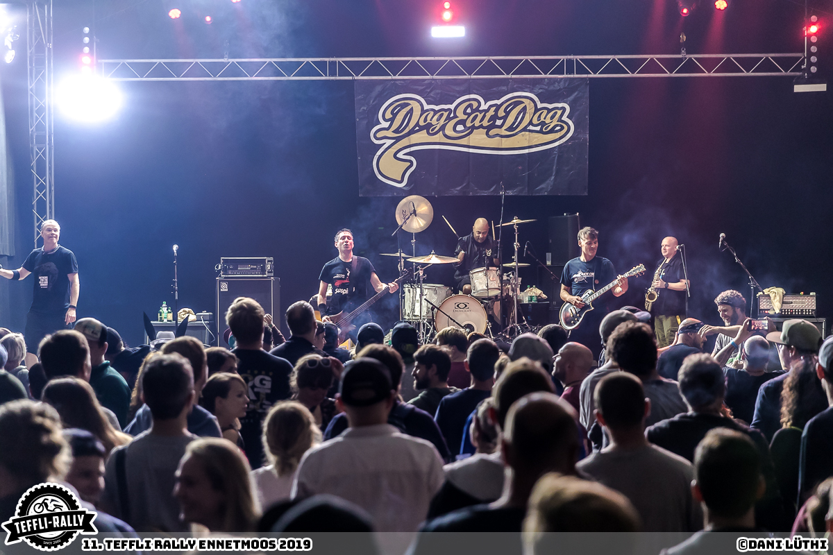 Teffli-Rally-19-Dog-Eat-Dog 63