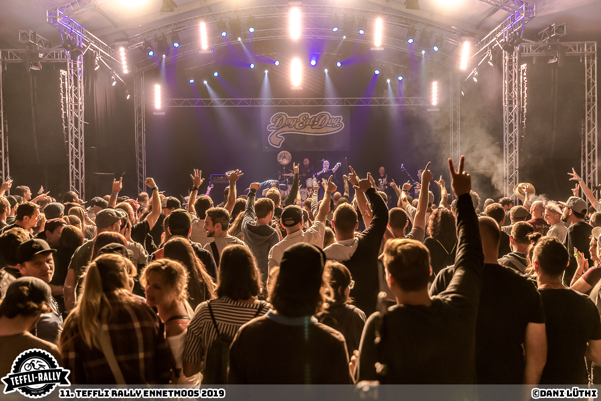 Teffli-Rally-19-Dog-Eat-Dog 65