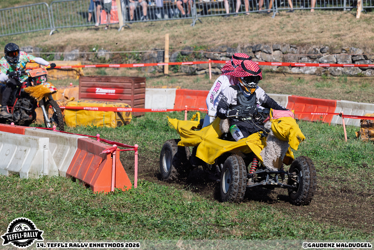 260814 teffly-rally web-4309