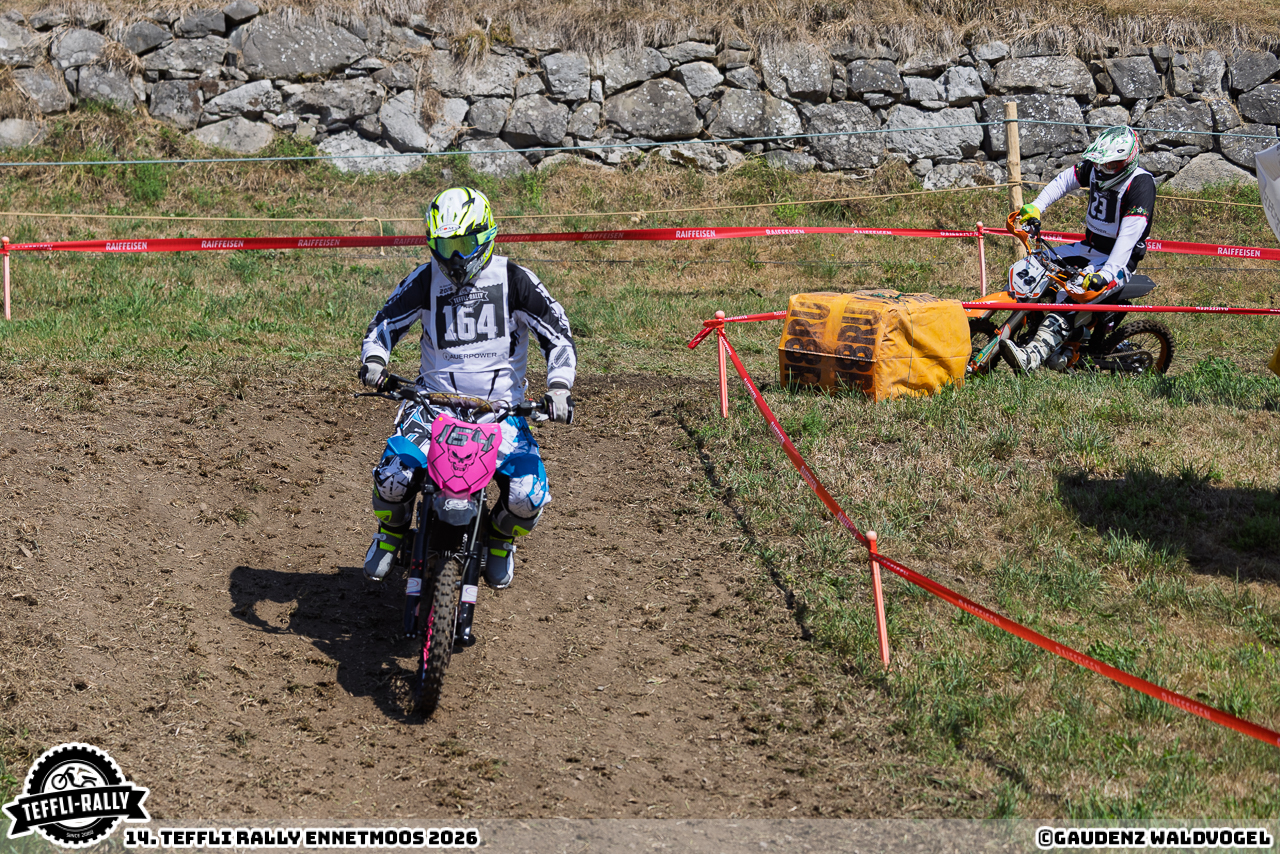 260814 teffly-rally web-4402