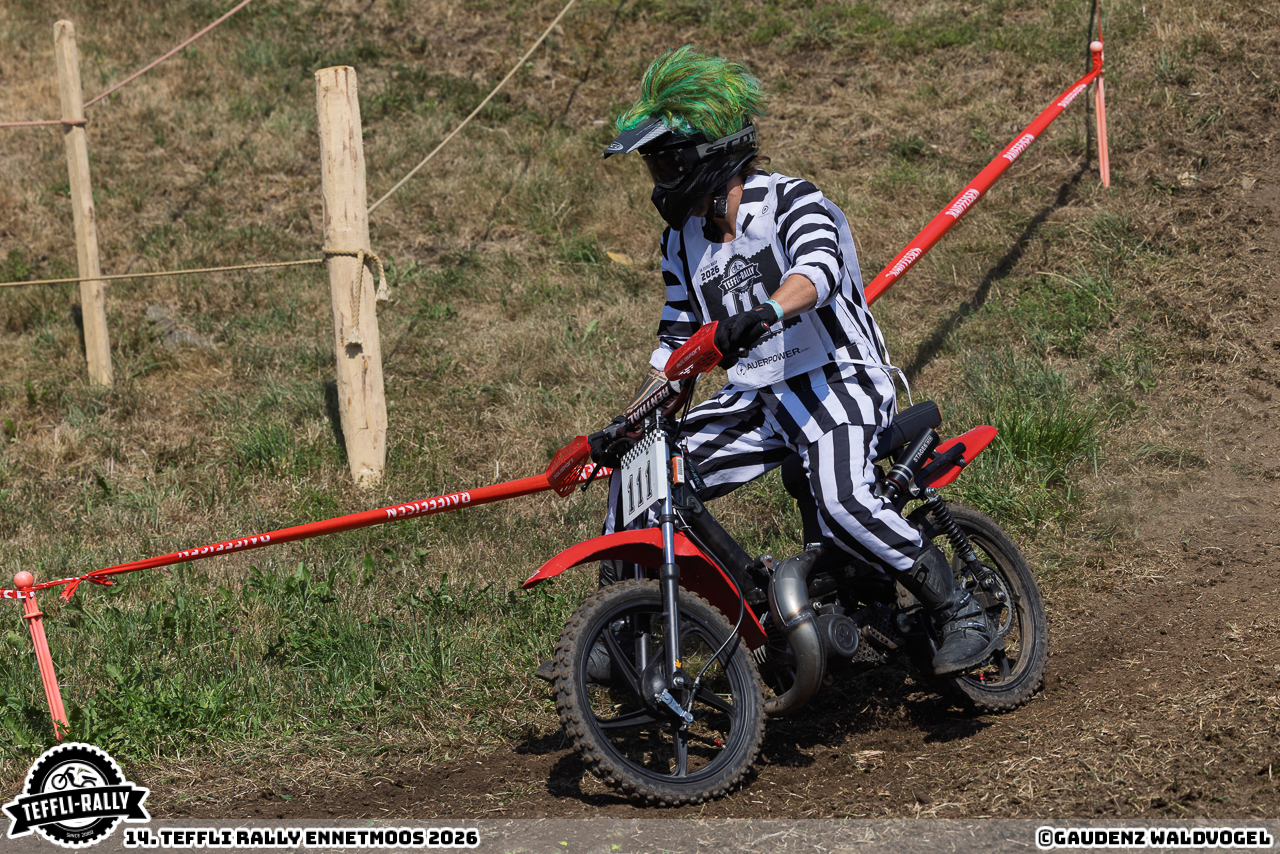 260814 teffly-rally web-4483
