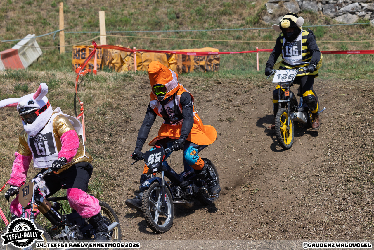 260814 teffly-rally web-4544