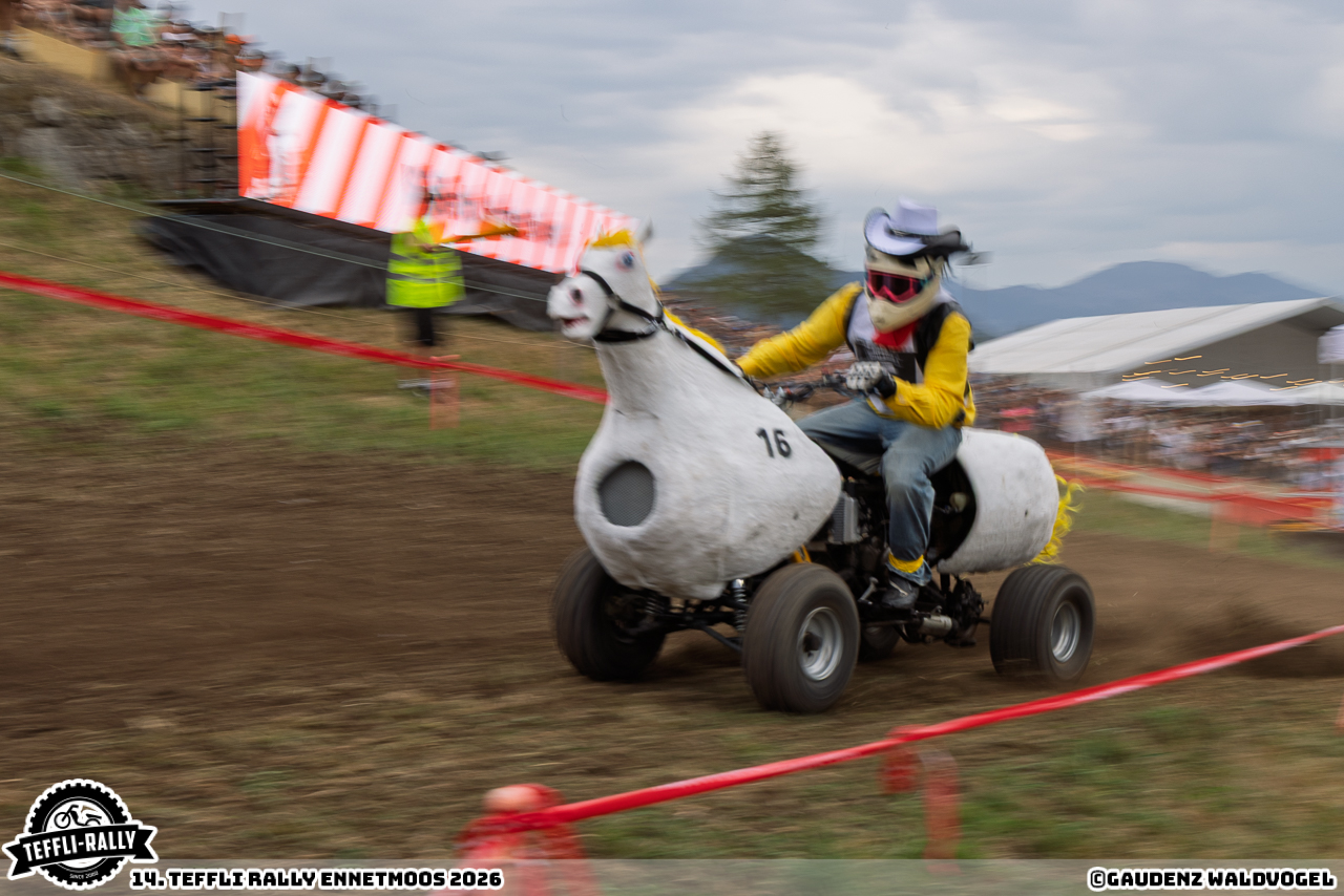 260814 teffly-rally web-5883