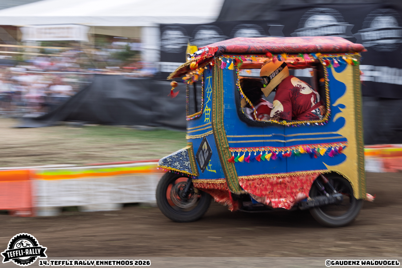 260814 teffly-rally web-5915