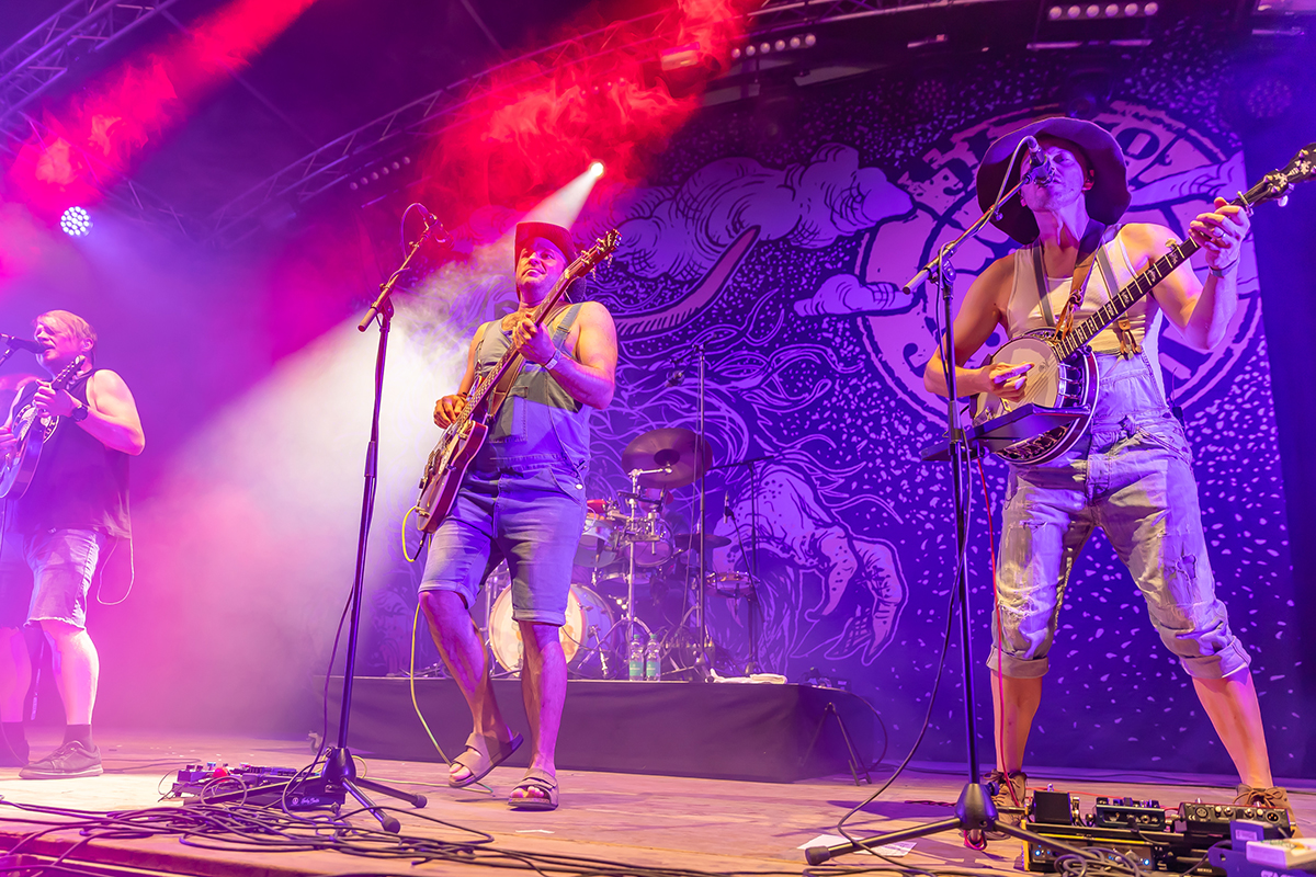 2026-TR > Steve ’n’ Seagulls